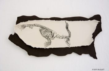 tableau en grès et porcelaine décor squelette mammifère