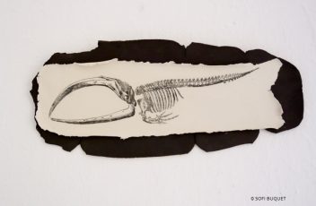 tableau en grès et porcelaine décor squelette baleine